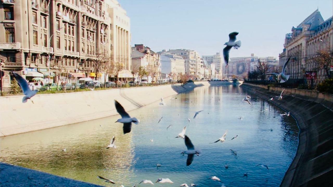 Eric Apartment 100 Bucureşti Ngoại thất bức ảnh